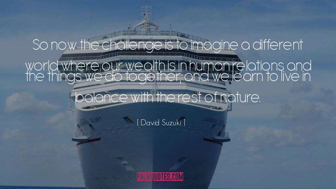 Balance And Harmony quotes by David Suzuki