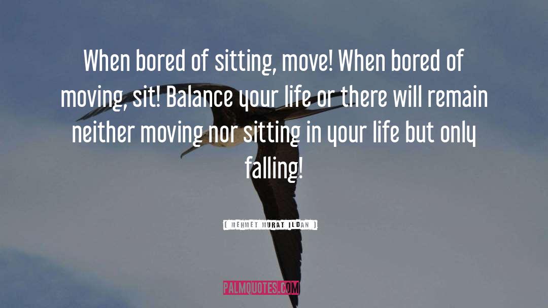 Balanced Life quotes by Mehmet Murat Ildan