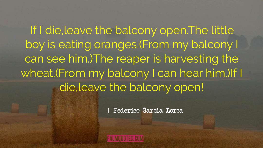 Balcony quotes by Federico Garcia Lorca