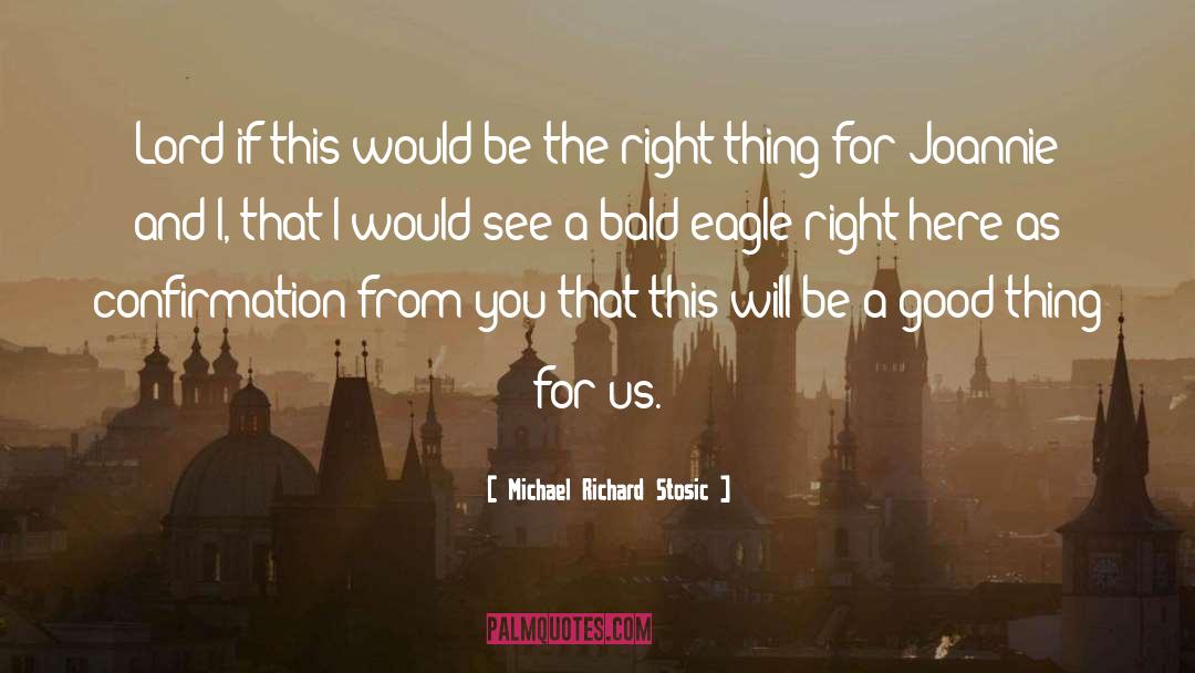 Bald Eagle quotes by Michael Richard Stosic