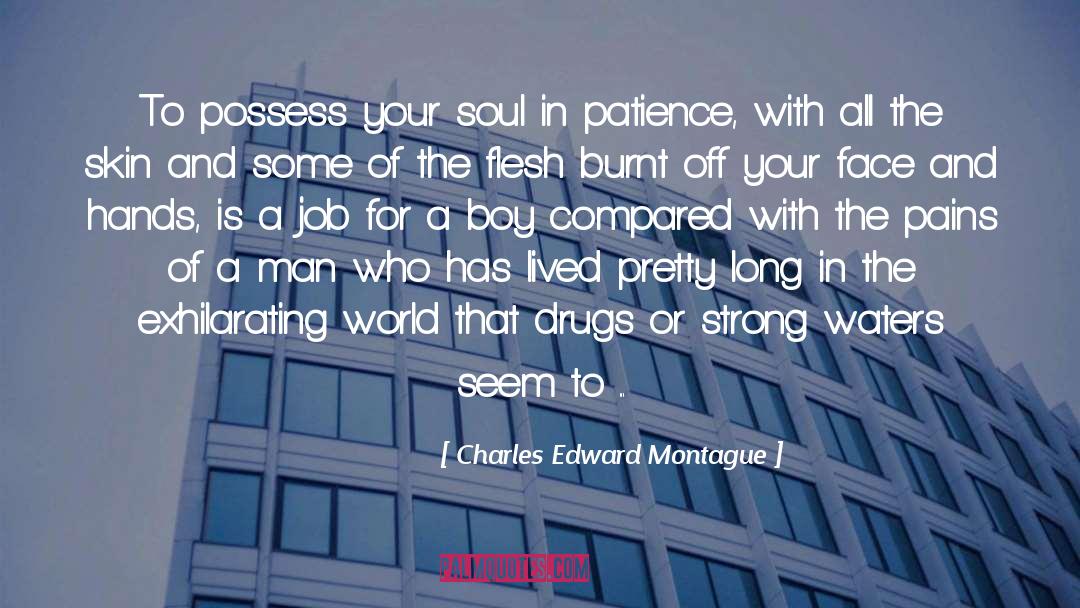 Bald quotes by Charles Edward Montague