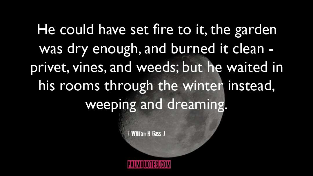 Baldassini Winter quotes by William H Gass
