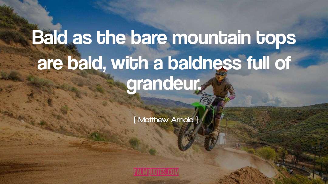 Baldness quotes by Matthew Arnold