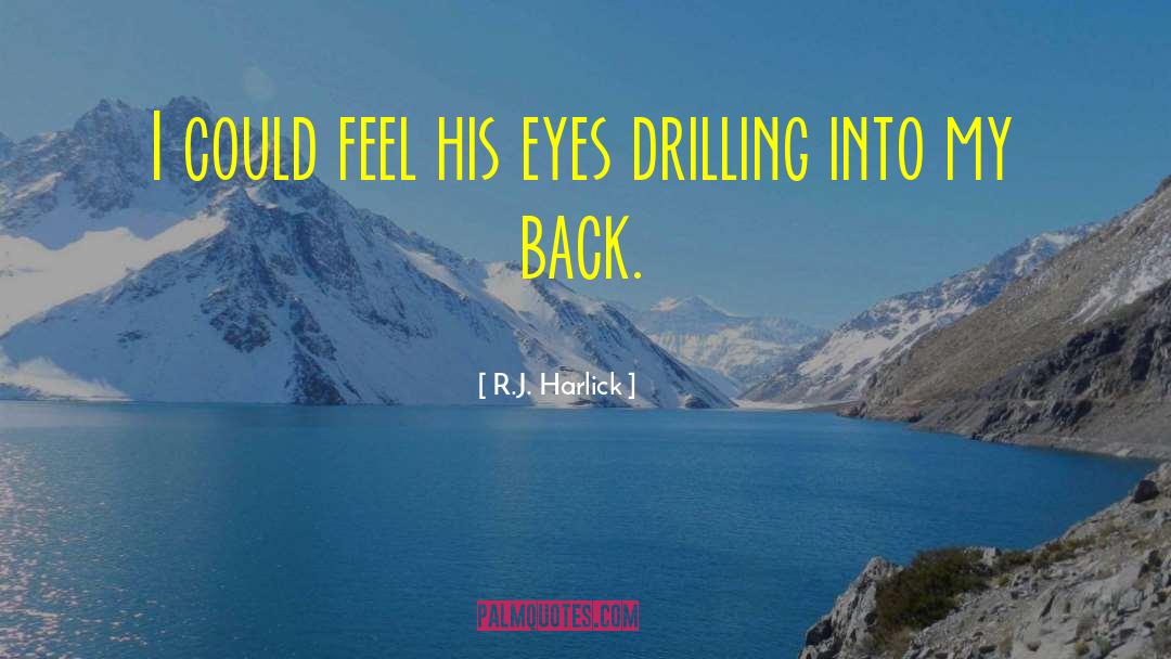 Baldry Drilling quotes by R.J. Harlick