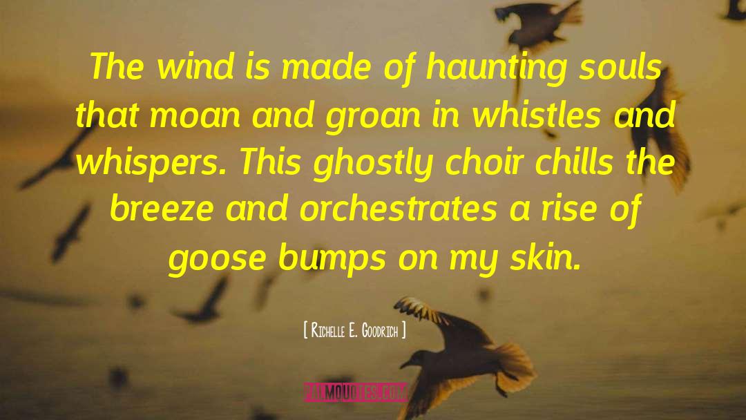 Balila Whistles quotes by Richelle E. Goodrich