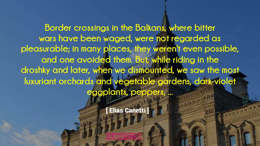 Balkans Ww1 quotes by Elias Canetti
