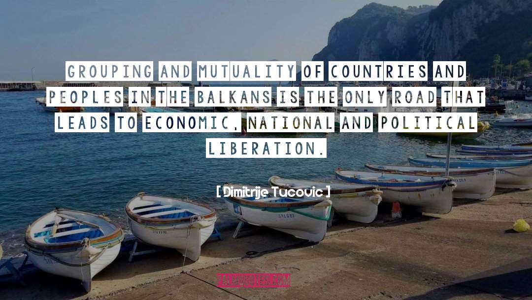 Balkans Ww1 quotes by Dimitrije Tucovic