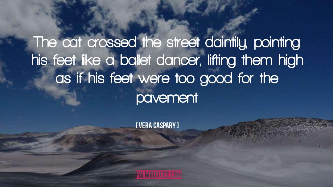 Ballet Dancer quotes by Vera Caspary