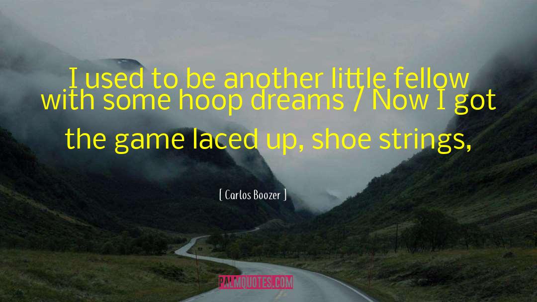 Ballet Shoes quotes by Carlos Boozer