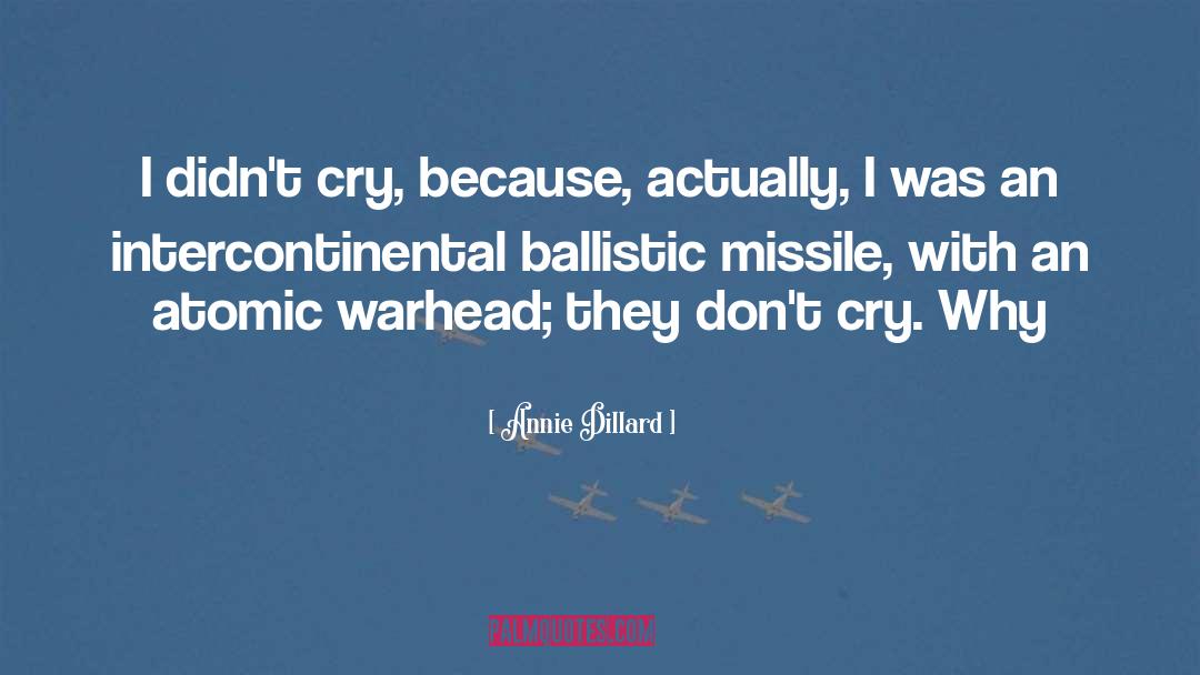 Ballistic quotes by Annie Dillard