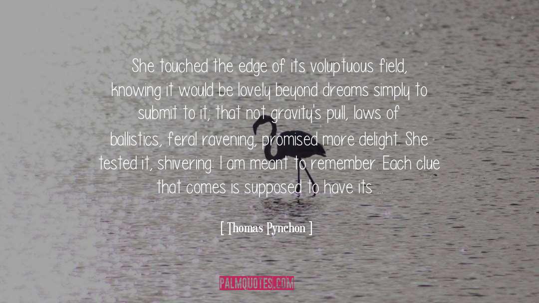 Ballistics quotes by Thomas Pynchon