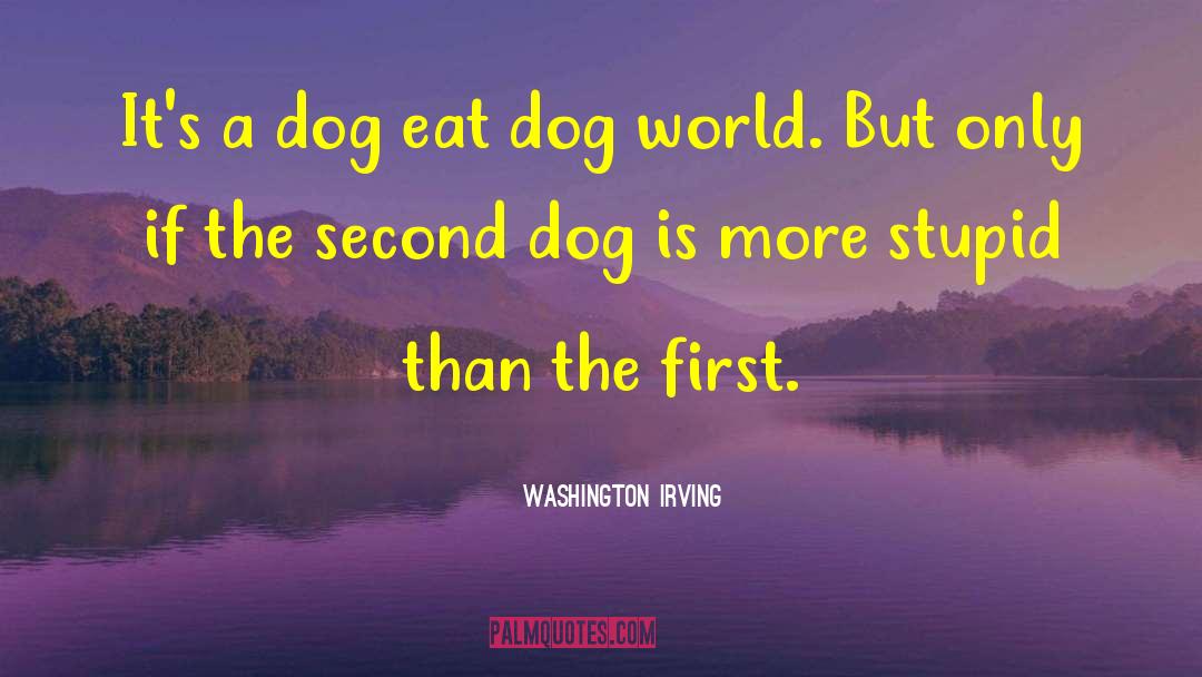 Balloon Dog quotes by Washington Irving