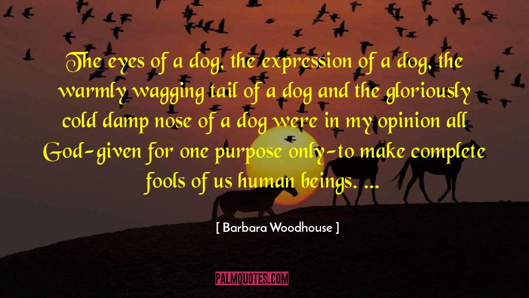 Balloon Dog quotes by Barbara Woodhouse