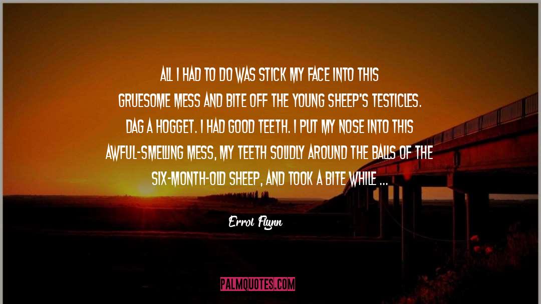 Balls quotes by Errol Flynn