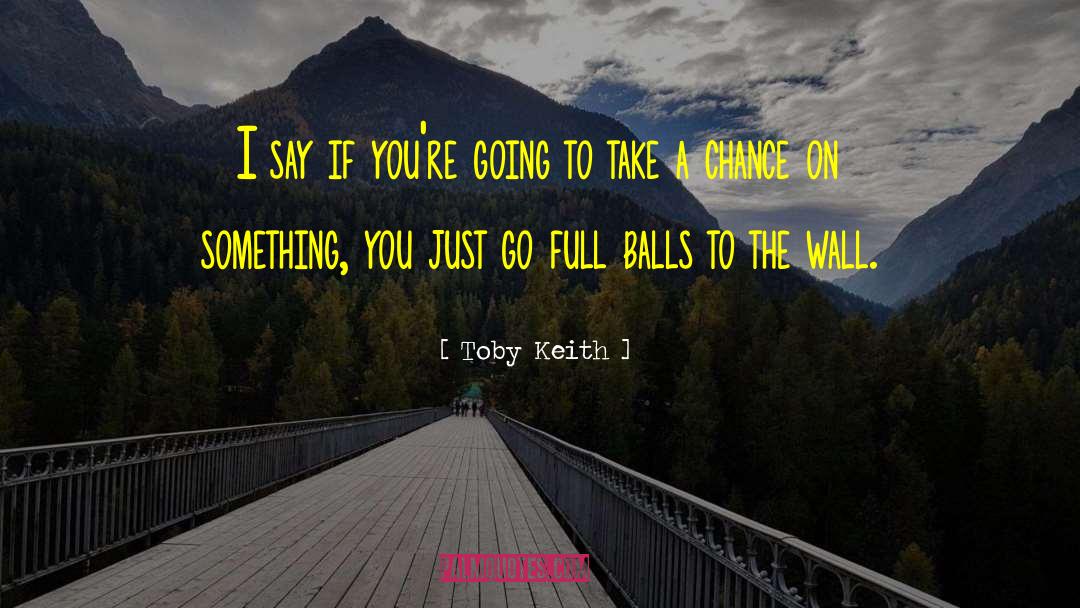 Balls To The Wall quotes by Toby Keith