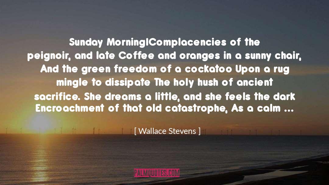 Balm quotes by Wallace Stevens