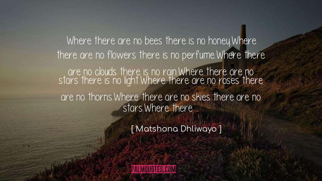Bamboo Flowers quotes by Matshona Dhliwayo