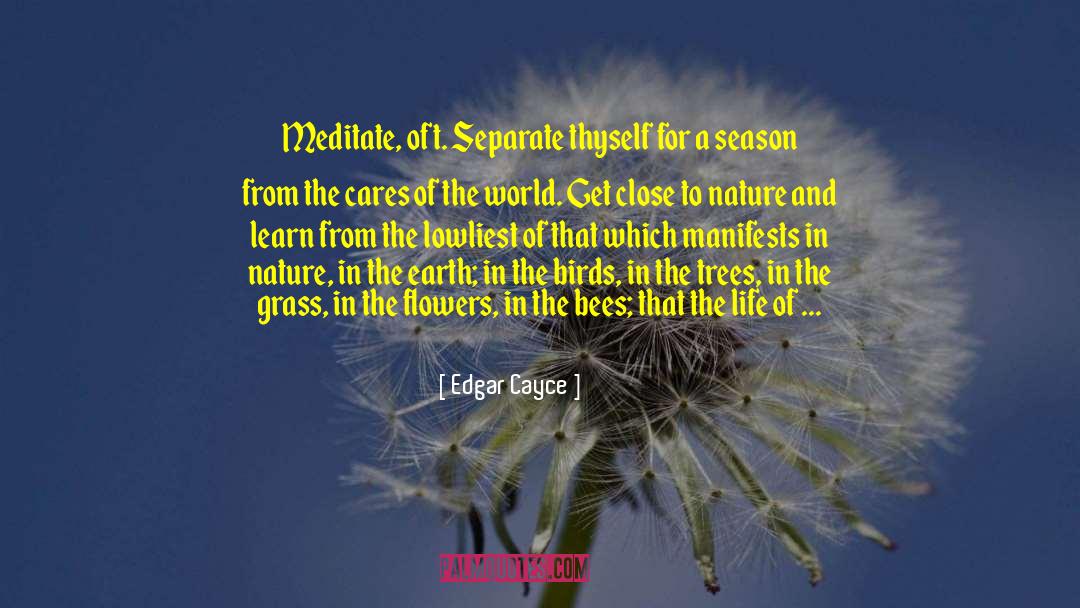 Bamboo Flowers quotes by Edgar Cayce