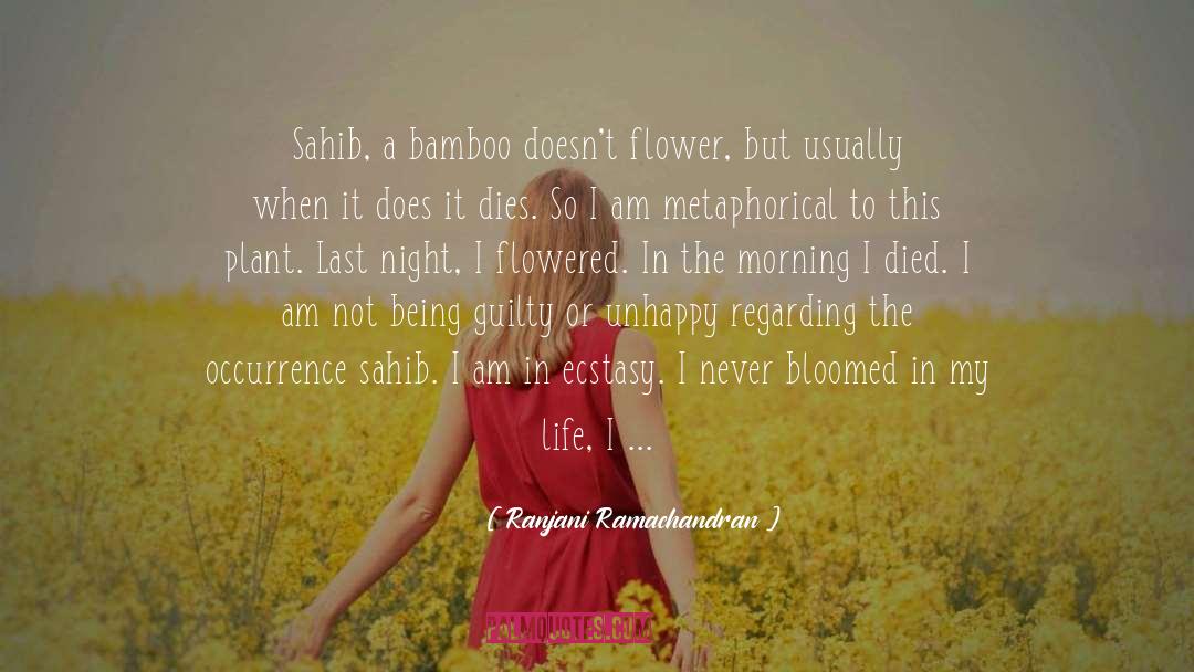 Bamboo Flowers quotes by Ranjani Ramachandran