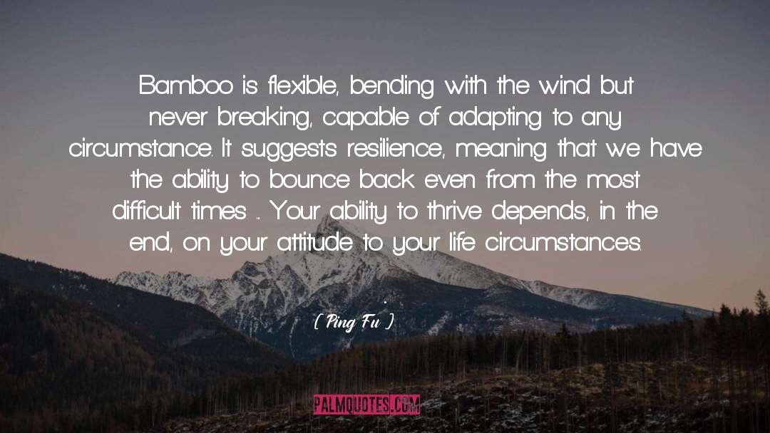 Bamboo quotes by Ping Fu