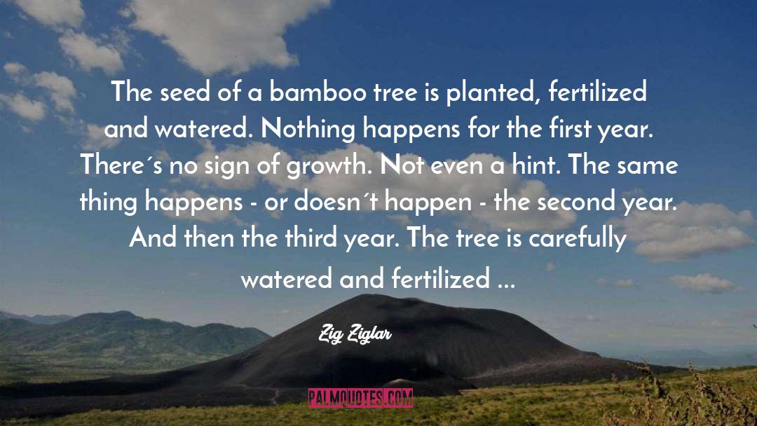 Bamboo quotes by Zig Ziglar