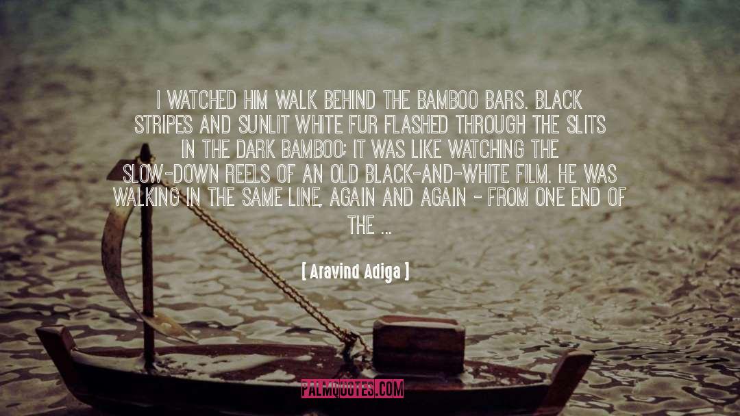 Bamboo quotes by Aravind Adiga