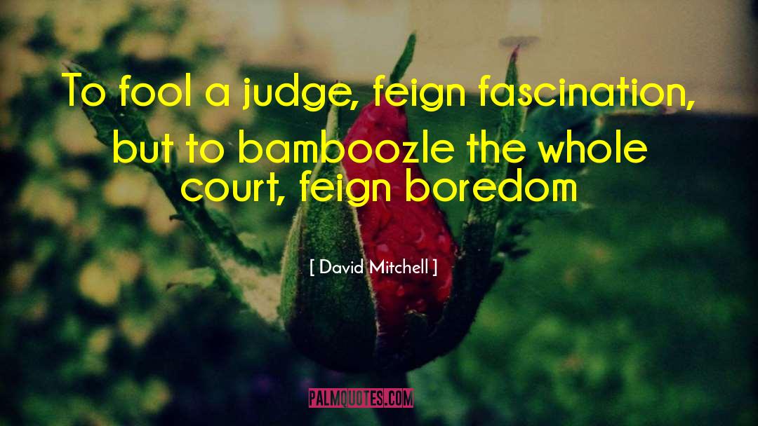 Bamboozle quotes by David Mitchell