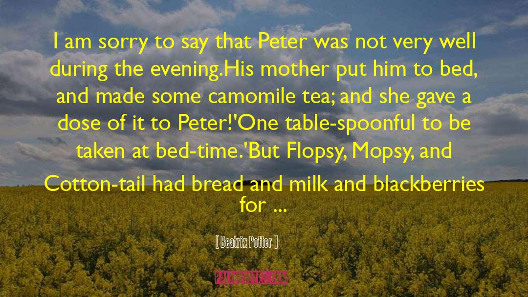 Banana Bread quotes by Beatrix Potter