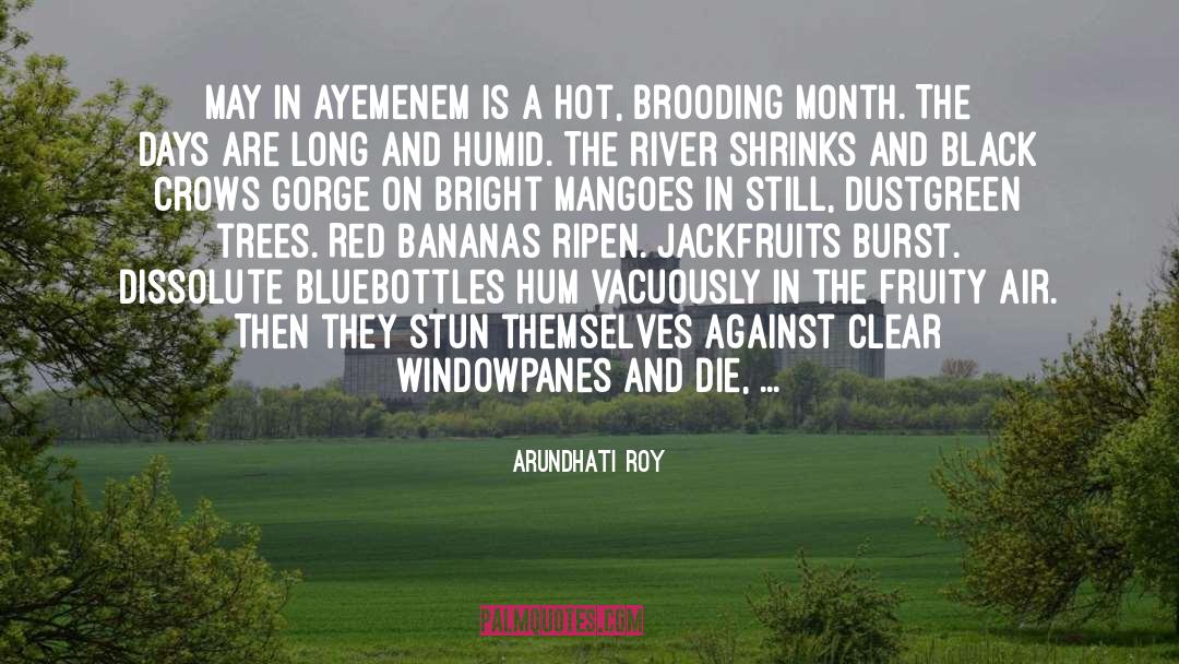 Bananas quotes by Arundhati Roy