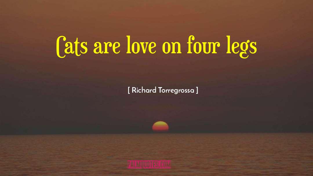 Banchi Four quotes by Richard Torregrossa