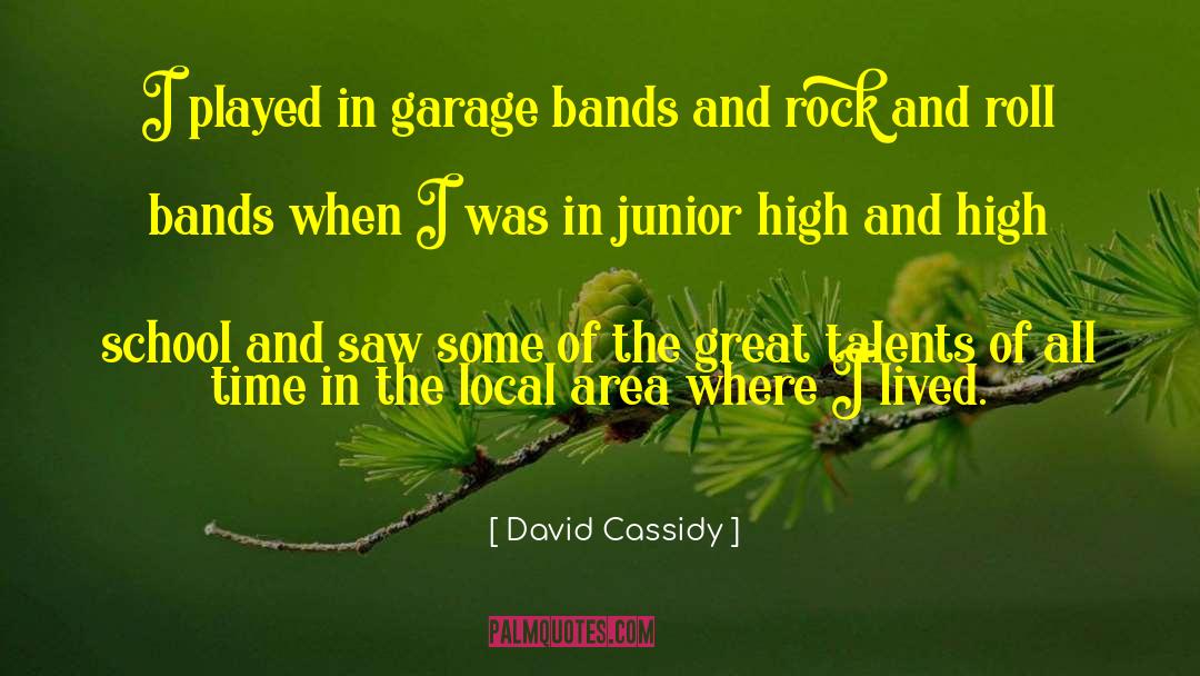 Band Geeks quotes by David Cassidy