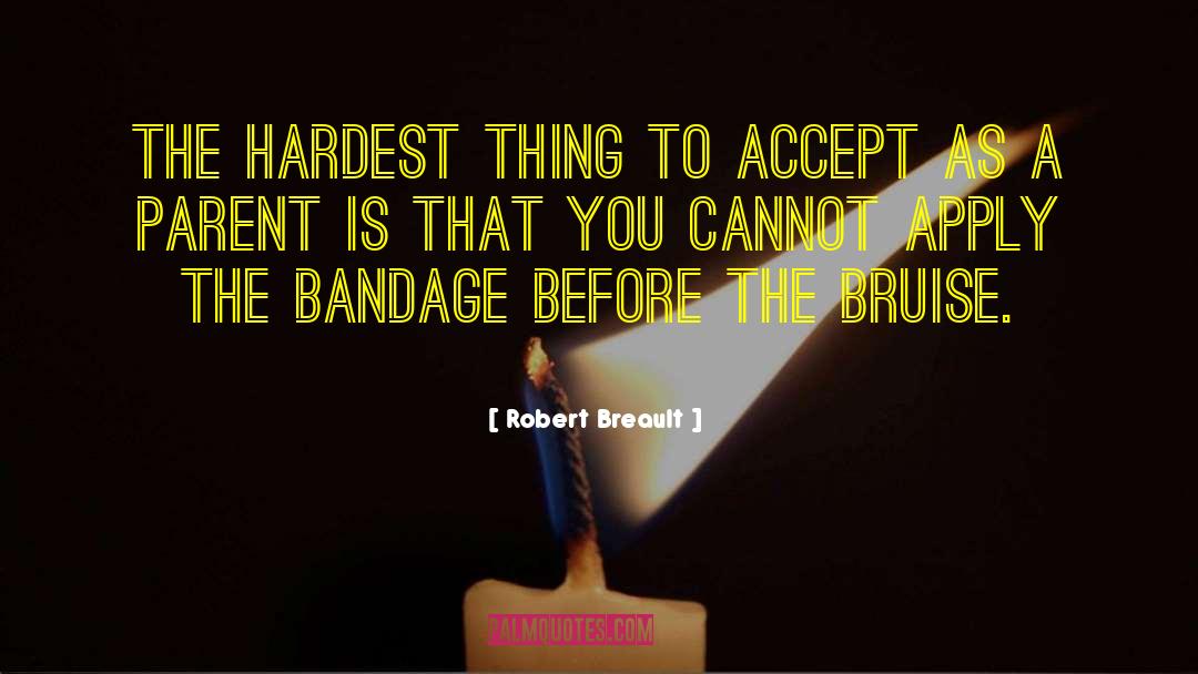 Bandage quotes by Robert Breault