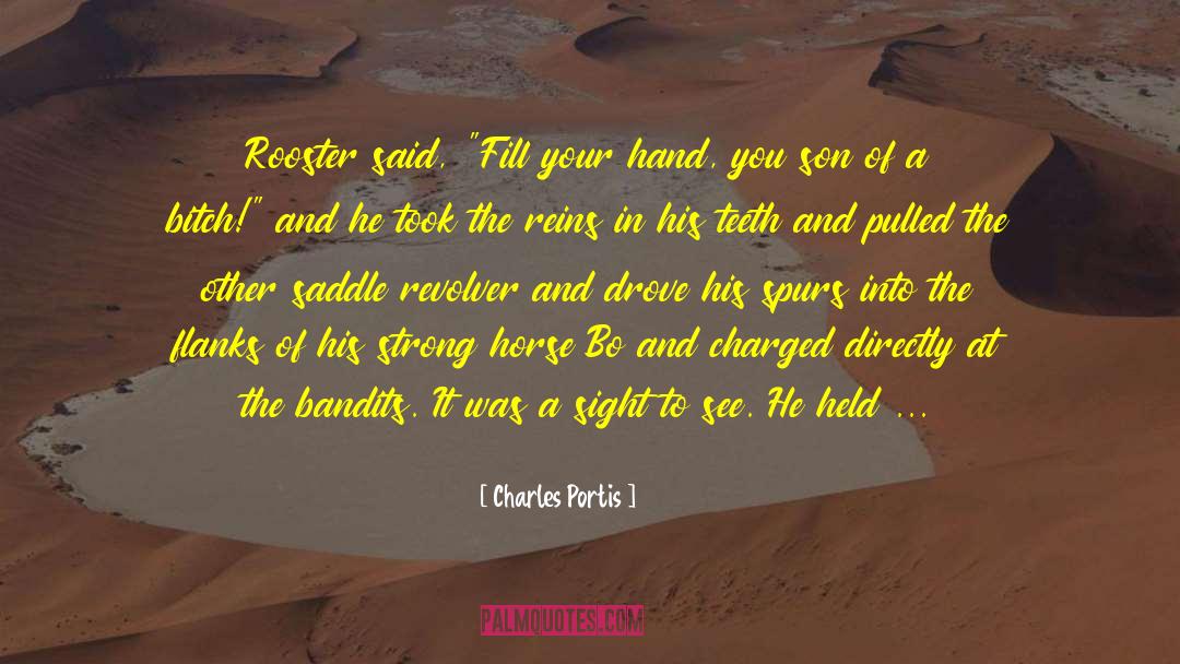 Bandits quotes by Charles Portis