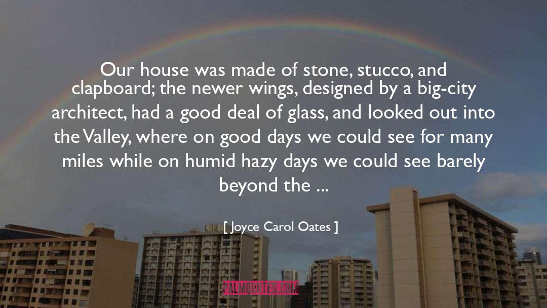 Banegas Construction quotes by Joyce Carol Oates