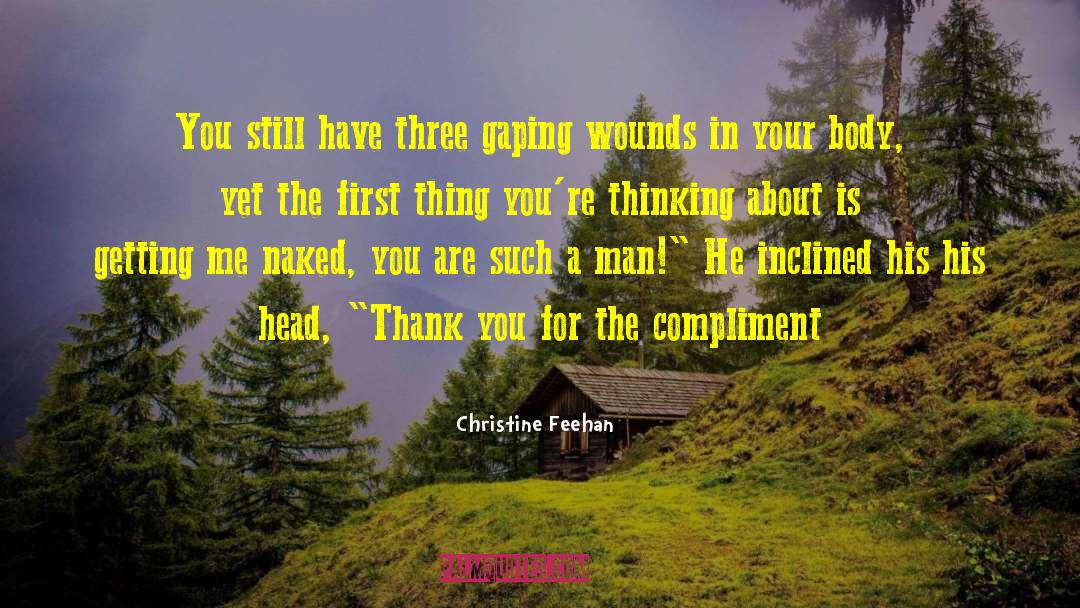 Banging Your Head quotes by Christine Feehan