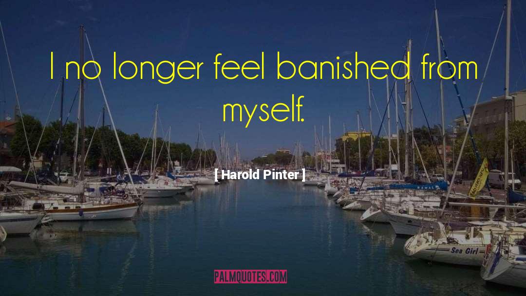 Banished From Asgard quotes by Harold Pinter