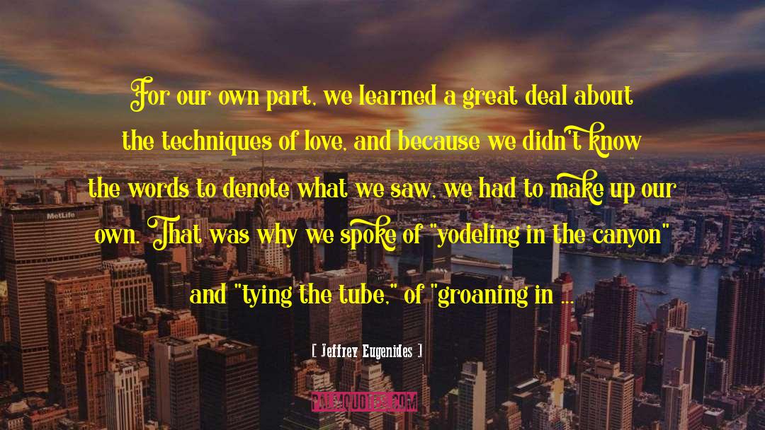 Banjac Lux quotes by Jeffrey Eugenides