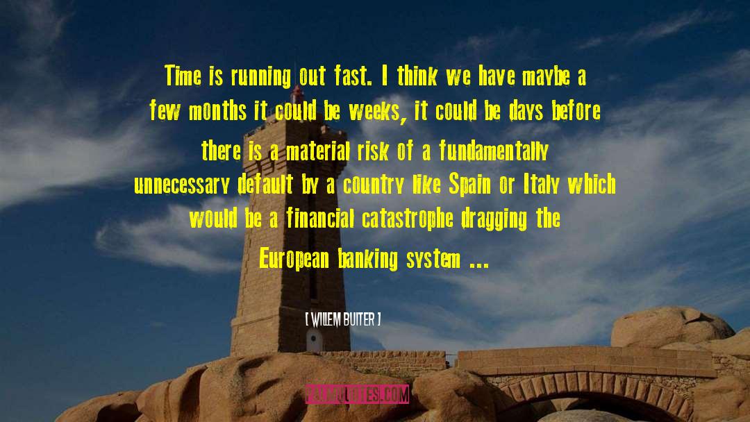 Banking Elite quotes by Willem Buiter