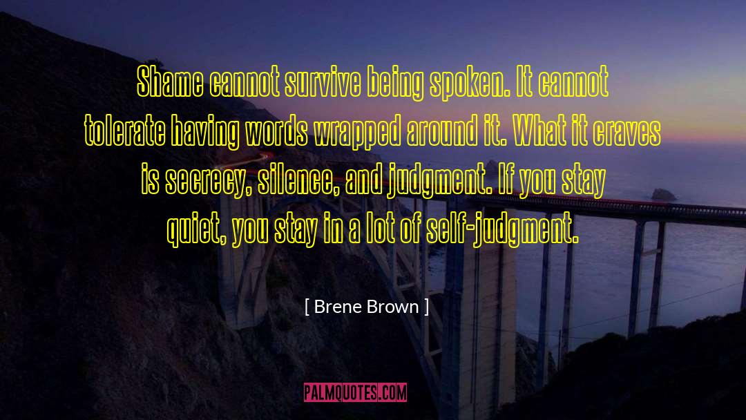 Banking Secrecy quotes by Brene Brown