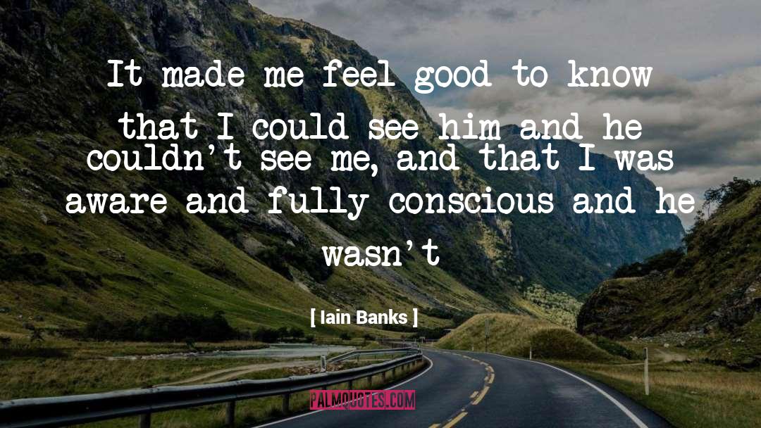 Banks quotes by Iain Banks