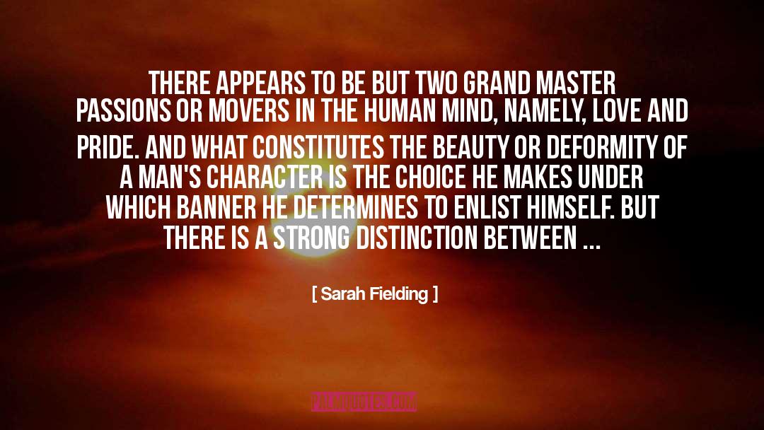 Banner quotes by Sarah Fielding