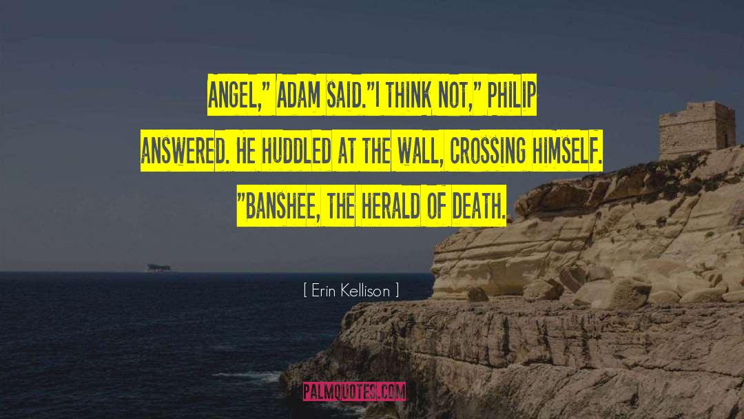 Banshee quotes by Erin Kellison
