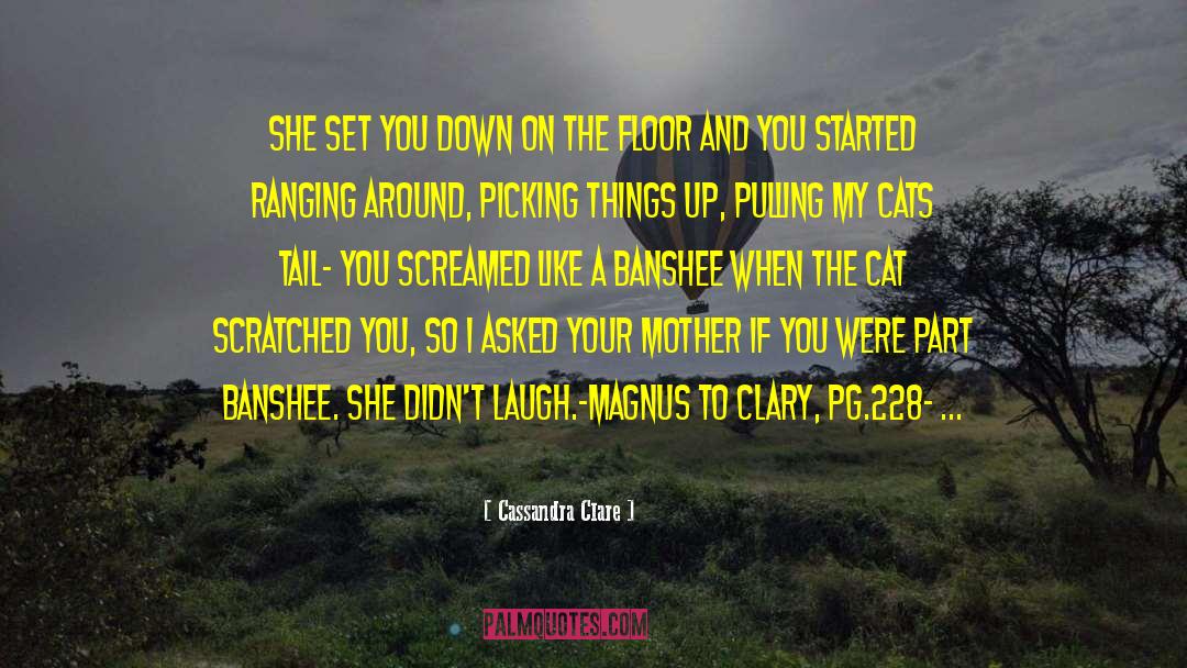 Banshee quotes by Cassandra Clare