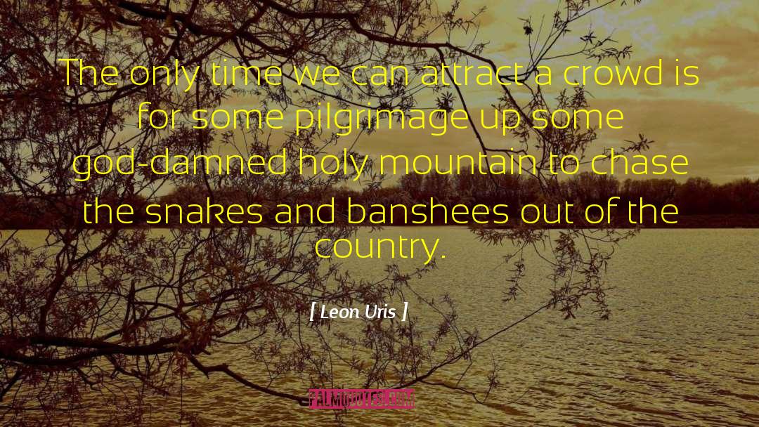 Banshees quotes by Leon Uris