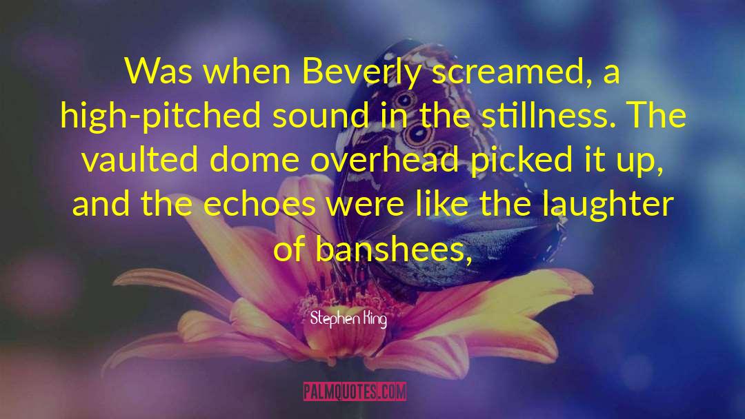 Banshees quotes by Stephen King