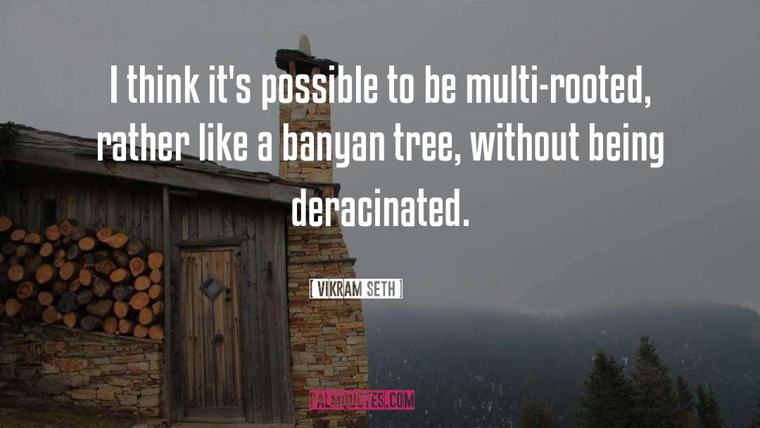 Banyan quotes by Vikram Seth