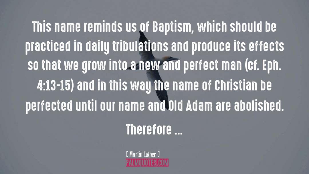 Baptism Cakes quotes by Martin Luther