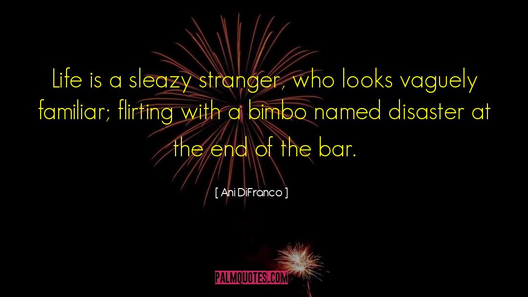 Bar Nights quotes by Ani DiFranco