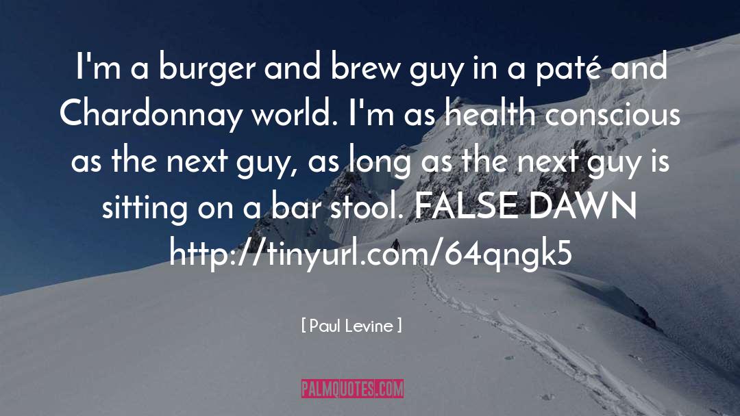 Bar Stool quotes by Paul Levine
