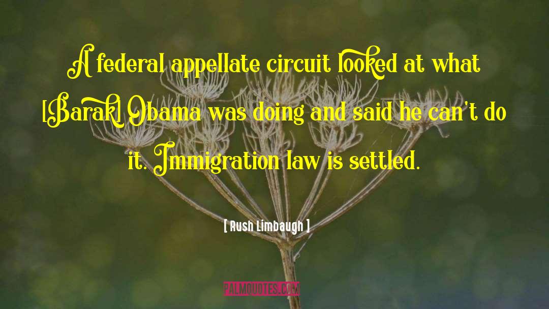 Barak Obama quotes by Rush Limbaugh